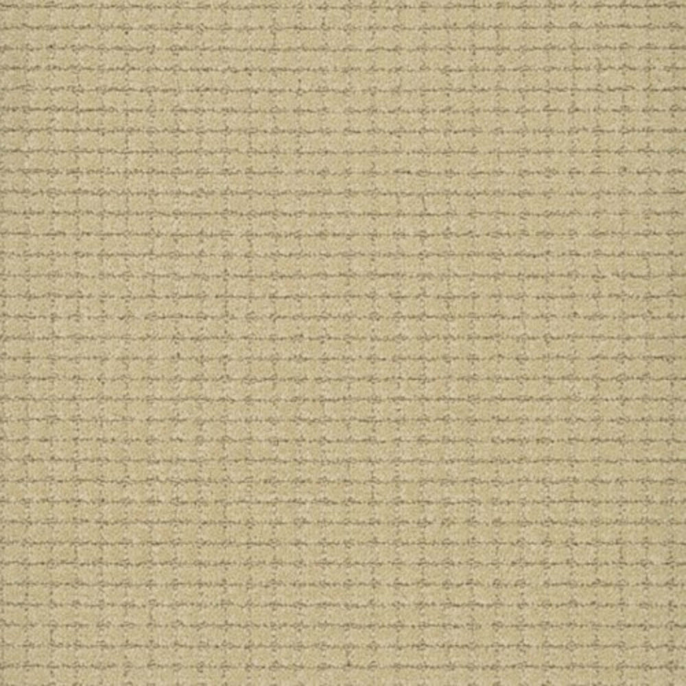 Lexington in Architecture Carpet