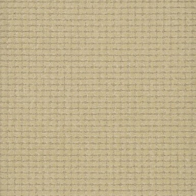 Lexington in Architecture Carpet