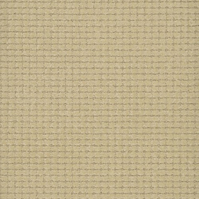 Lexington in Architecture Carpet