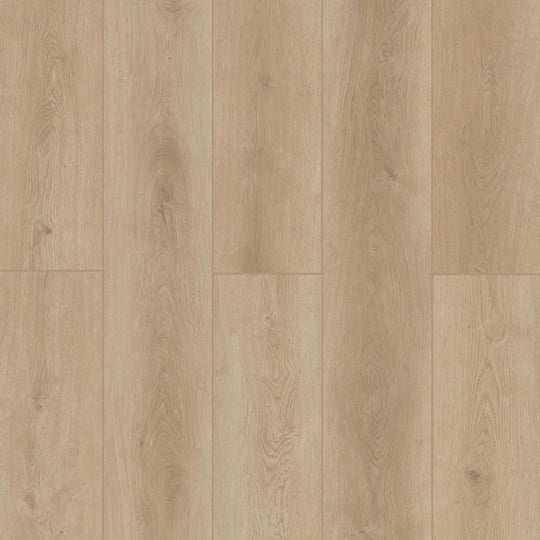 Indoor Delight in Castle Forge