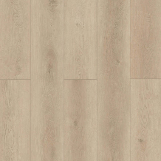 Indoor Delight in Pearl Abyss