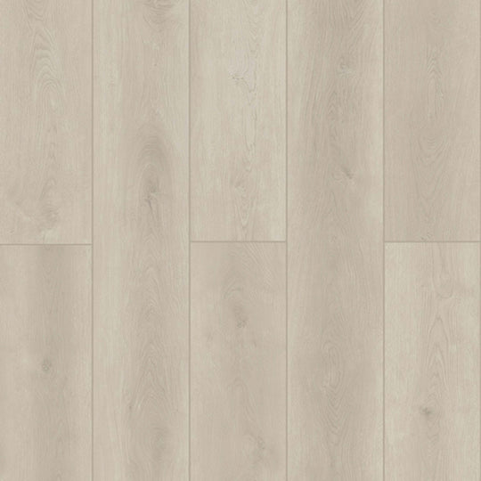 Indoor Delight in Ashen Land