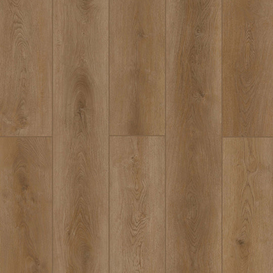 Indoor Delight in Fortress Dawn