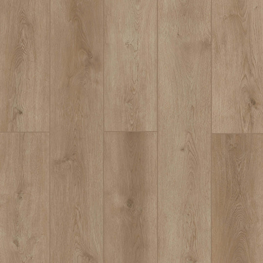 Indoor Delight in Peacock Flush