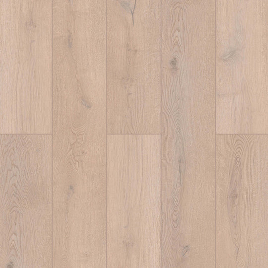 Indoor Delight in Lotus Clove