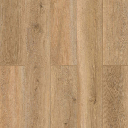 Indoor Delight in Shoreline D?cor