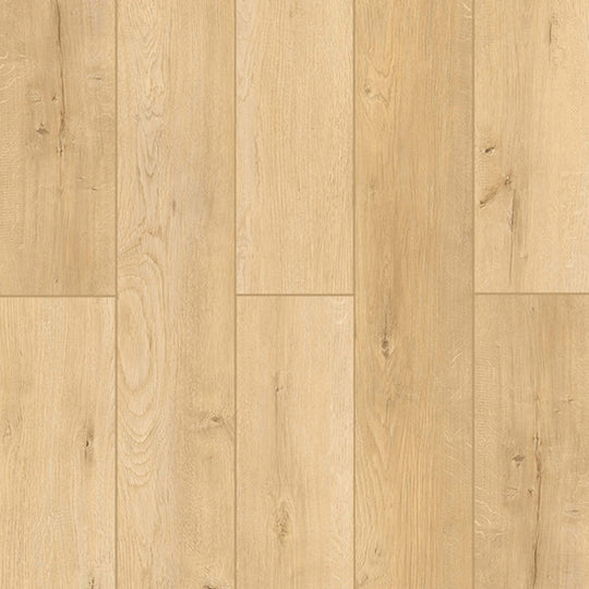 Indoor Delight in Woodland Charm