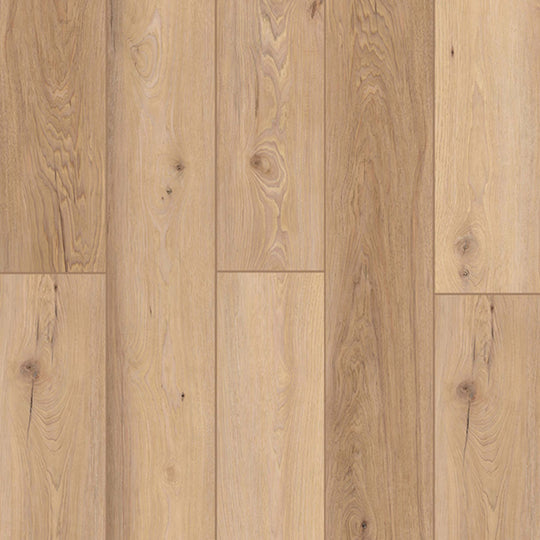 Indoor Delight in Homewood Waltz