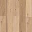 Indoor Delight in Homewood Waltz Luxury Vinyl