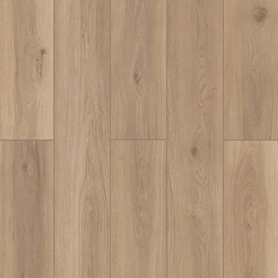 Lone Star Spirit XL in Artisan Touch