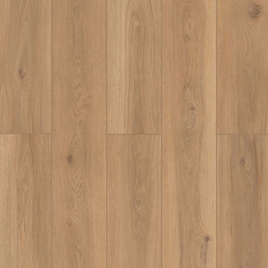 Lone Star Spirit XL in Backyard Garnish