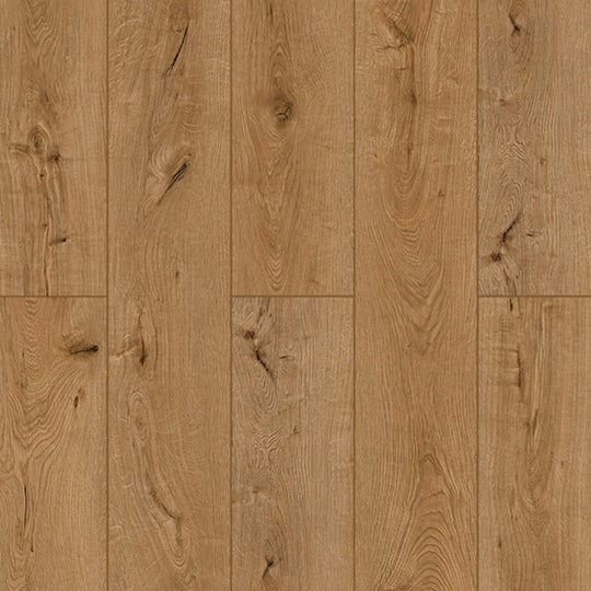 Lone Star Spirit XL in Oak Dry-Aged