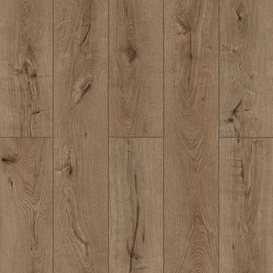 Lone Star Spirit XL in Forgotten Bark