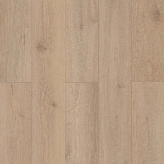 Lone Star Spirit XL in Sea Shell