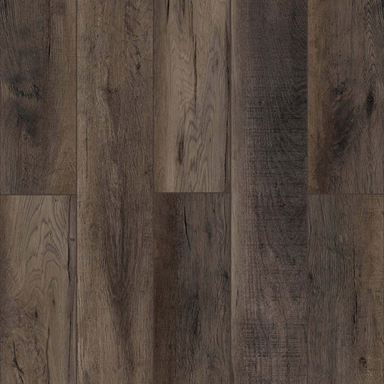 Lone Star Spirit XL in Ballroom Rodeo