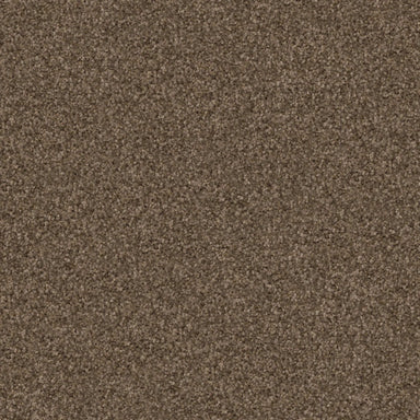 Trapper  in Basset Carpet