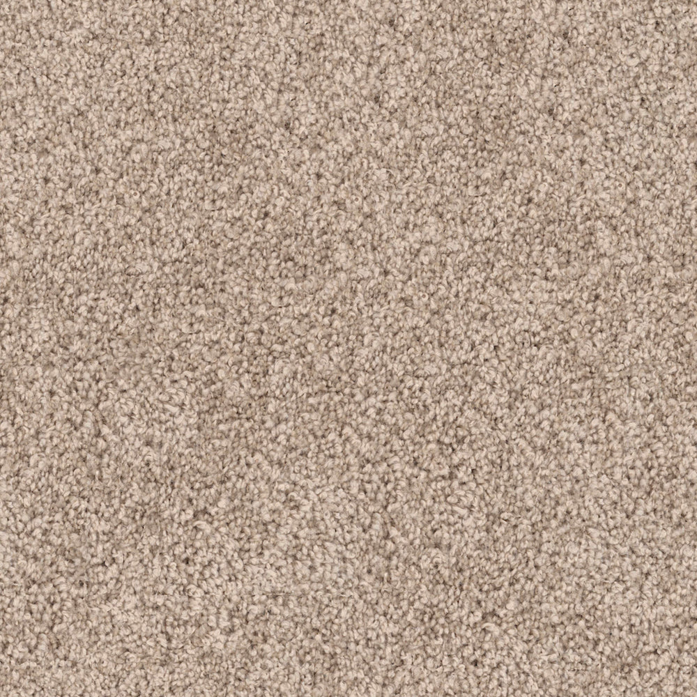 Luxe in Amber Carpet