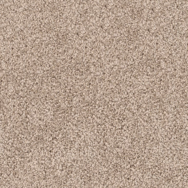 Luxe in Amber Carpet