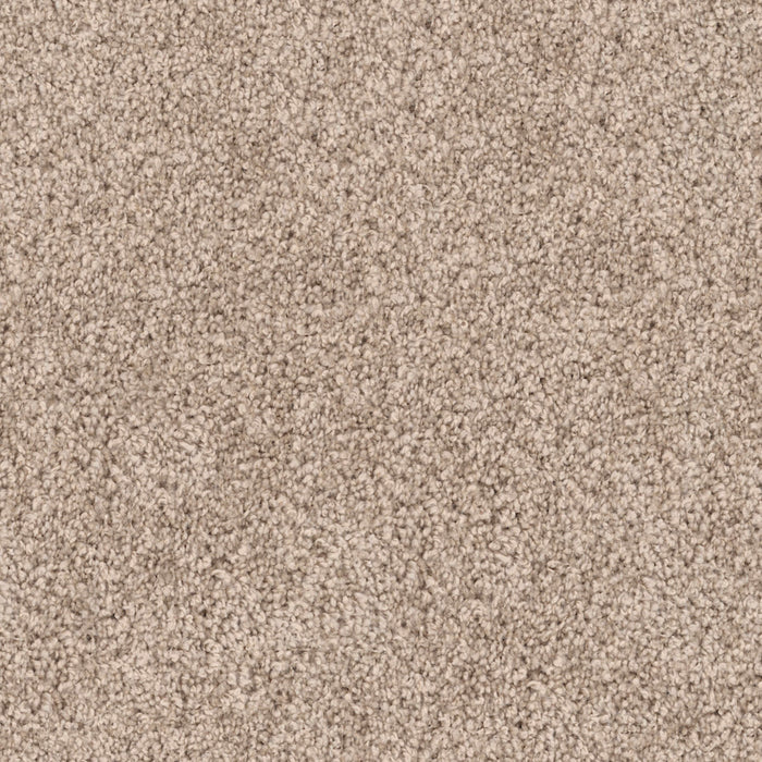 Luxe in Amber Carpet