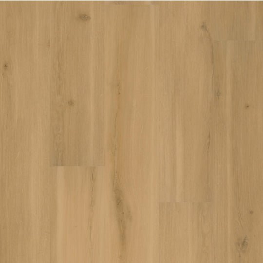 ADURA Rigid - Swiss Oak in Praline