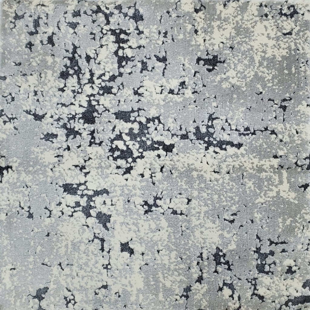 Momentous I in Brilliant Carpet