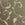 Taupe -166