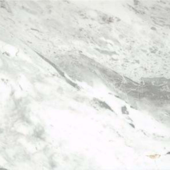 Marble in Parian White 12" X 24"