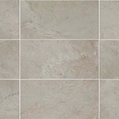 Scripter in Mentor 12x24 Tile