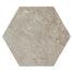 Scripter in Mentor Hex Tile