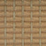 Manhattan Soho in Bisque Carpet