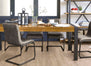 Alpha Collection in Barley Oak