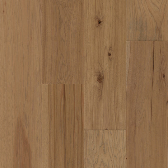 Colonial Collection in Deerfield