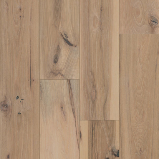 Colonial Collection in Andover