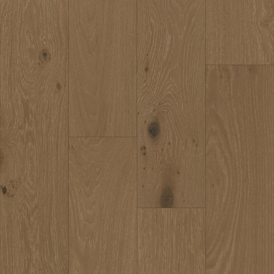 Colonial Collection in Williamsburg