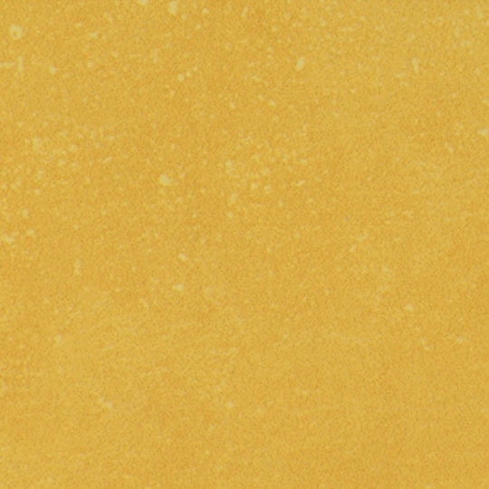 Portfolio - Vivid in Gen Z Yellow