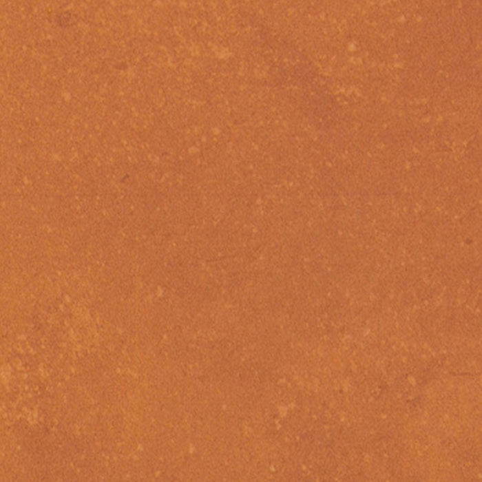 Portfolio - Vivid in Orange Burst Tile