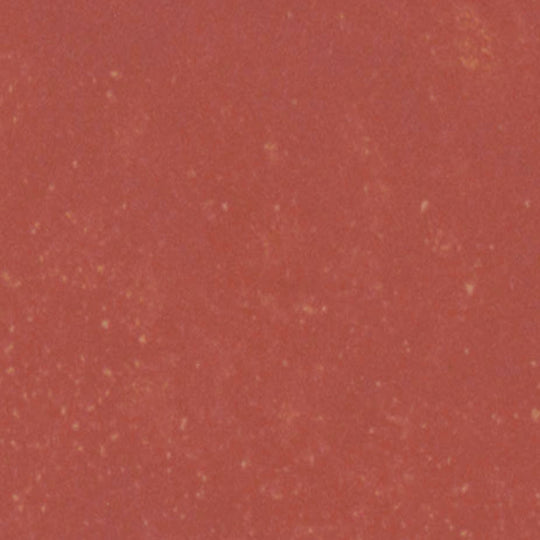 Portfolio - Vivid in Crimson Red