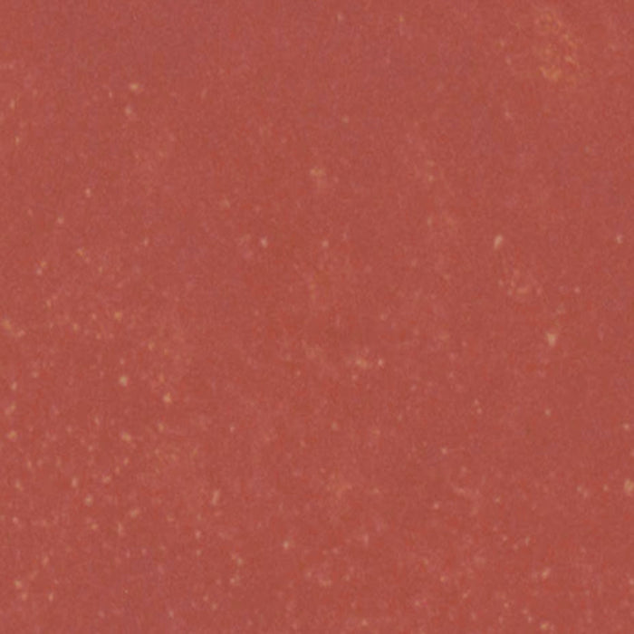 Portfolio - Vivid in Crimson Red Tile