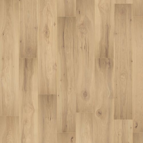 Prestano in Caramelized Hickory