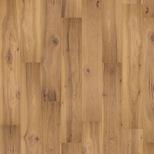 Prestano in Nutshell Hickory