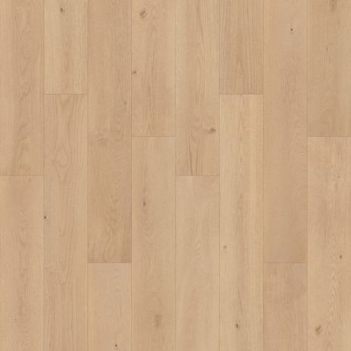 Woodlette Estates in Cork Oak