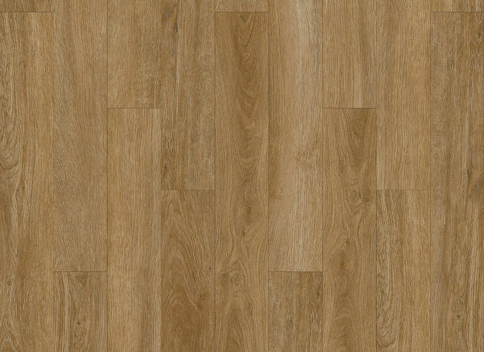 Wood Originals in Sand Dune