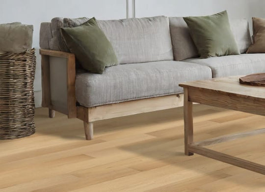 Ember Coast 5" in Camden