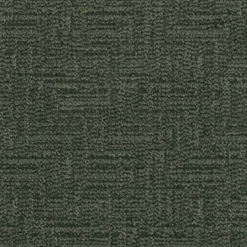 Famed in Pine Needle