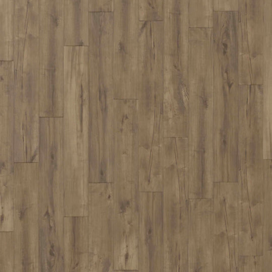 ADURA Rigid - Coventry in Forest