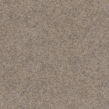 Rustic Retreat II in Barn Light Carpet