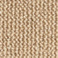 Shawnee in Beige Carpet