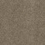 SP250 in  honey Beige Carpet