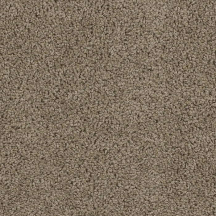 SP250 in  honey Beige Carpet