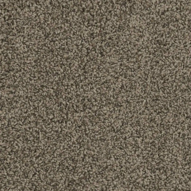 SP250